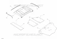 Body - Skid Plate - DPS