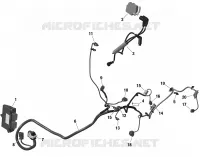 Rotax - Engine Harness And Electronic Module Defender