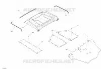 Body - Skid Plate - XTP