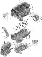 Engine - Crankcase - 900 ACE