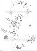 Exhaust System