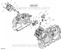 Engine Cooling - 450 EFI