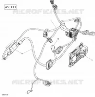 Engine Harness and Electronic Module - 450 EFI