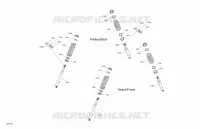 Shocks - XT