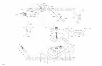 Engine - Fuel - EVAP System