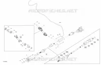 Drive - Rear - Common Parts - International