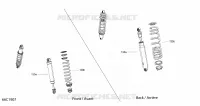 Shocks - XTP