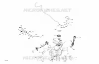 Engine - Fuel
