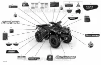 Body - Decals - XT
