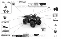 Body - Decals  - STD