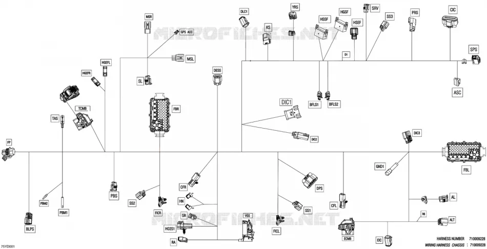 08- 0 - MAIN HARNESS - 710009228
