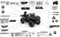 Decals - XT