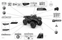 Body - Decals - LTD