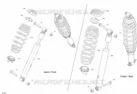 Shocks - XT