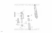 Suspension - Rear Shocks