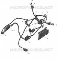 Rotax - Engine Harness And Electronic Module - 450 - North America