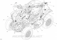 Decals XXC