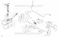 Engine - Fuel - EVAP System