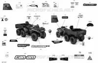 Decals Outlander 6X6 - 650 EFI - DPS - International
