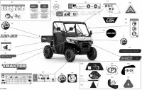 Decals - PRO