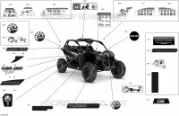 Body - Decals
