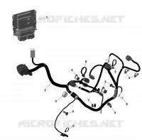 01- ROTAX - Engine Harness And Electronic Module