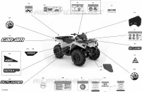 Decals - PRO