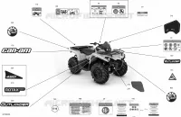 Decals - STD