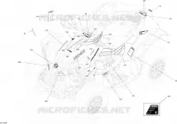 Decals XXC