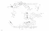 Engine - Fuel - EVAP System