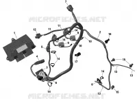 ROTAX - Electrical - Engine Harness / Electronic Module - 600 ACE