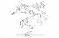 Engine - Exhaust