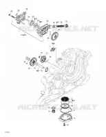 Engine Lubrication