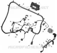 Rotax - Engine Harness And Electronic Module