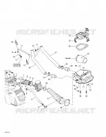 Air Intake System