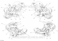 Decals XXC