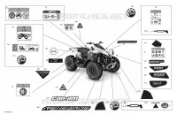 Body - Decals