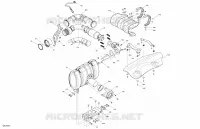 Engine - Exhaust