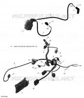 Engine Harness and Electronic Module - 650 EFI