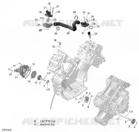 Engine Cooling - 650 EFI