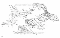 Body - System