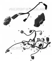01- ROTAX - Engine Harness And Electronic Module