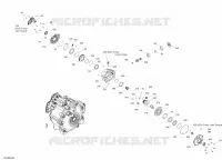 Front Drive - Differential