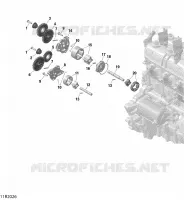 Oil Pump And Oil Pump Drive
