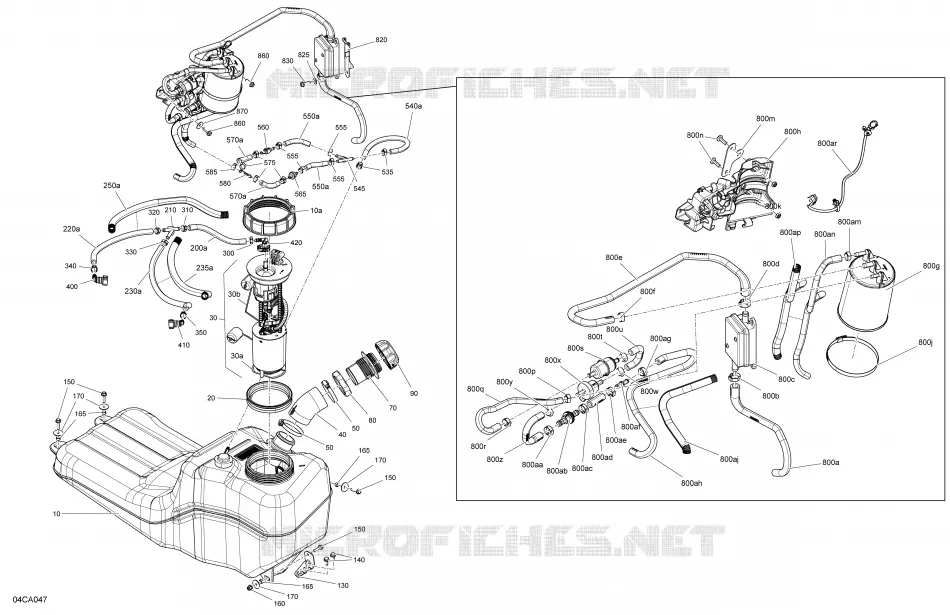 Engine - Fuel - EVAP System