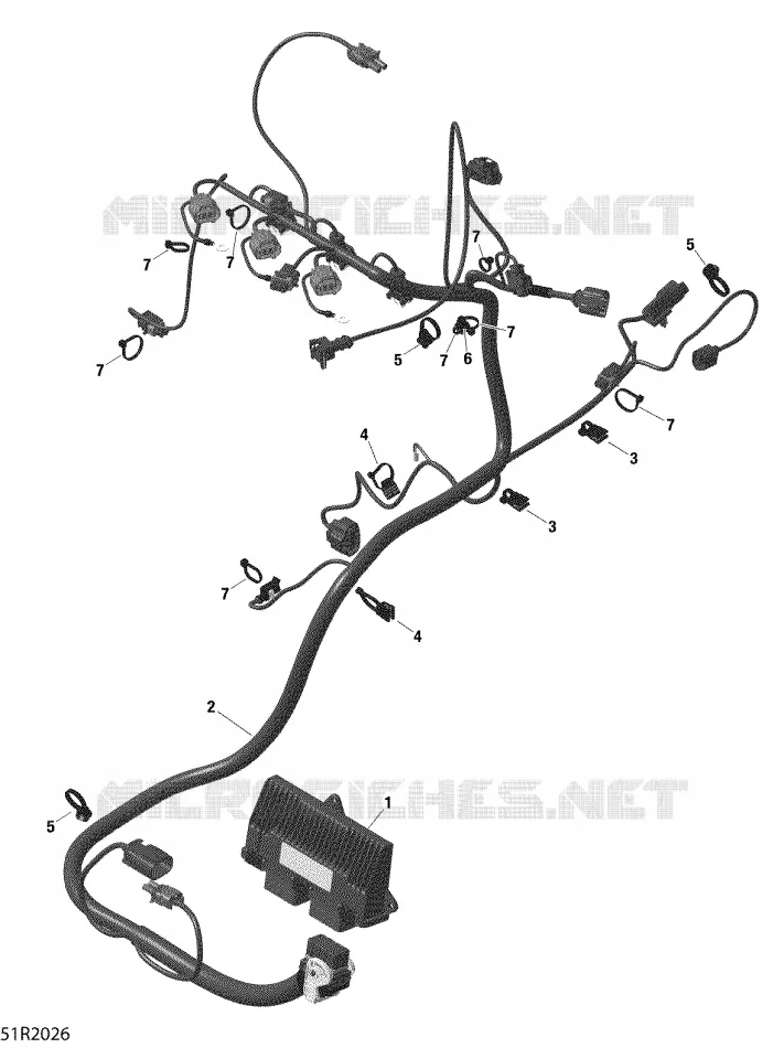 Engine Harness And Electronic Module