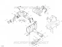 Exhaust