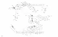 Engine - Fuel - EVAP System