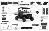 Body - Decals  - XT