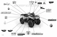 Body - Decals  - STD
